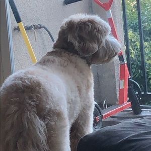 Meet your Posher, Joshua